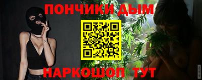индика Можга