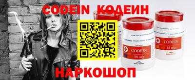 индика Можга