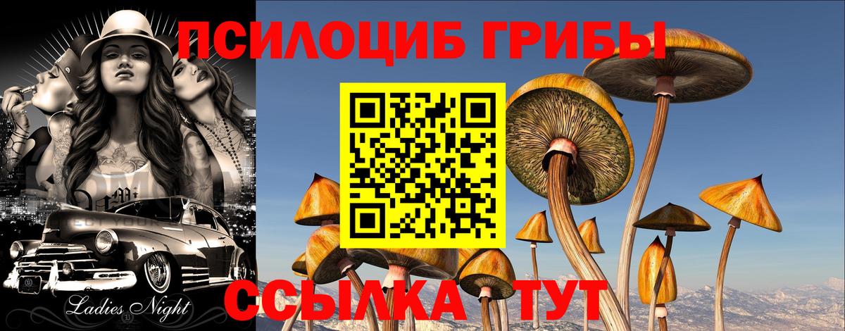 что такое   Вход с VPN  Псилоцибиновые грибы мухоморы  Шелехов  Псилоцибиновые грибы GOLDEN TEACHER 