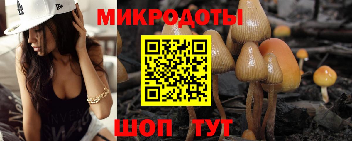 Псилоцибиновые грибы ЛСД Шелехов